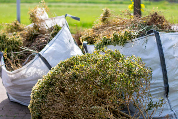 Best Commercial Junk Removal  in Shannon, GA